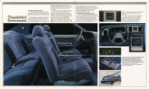 1985 Ford Thunderbird-10-11.jpg